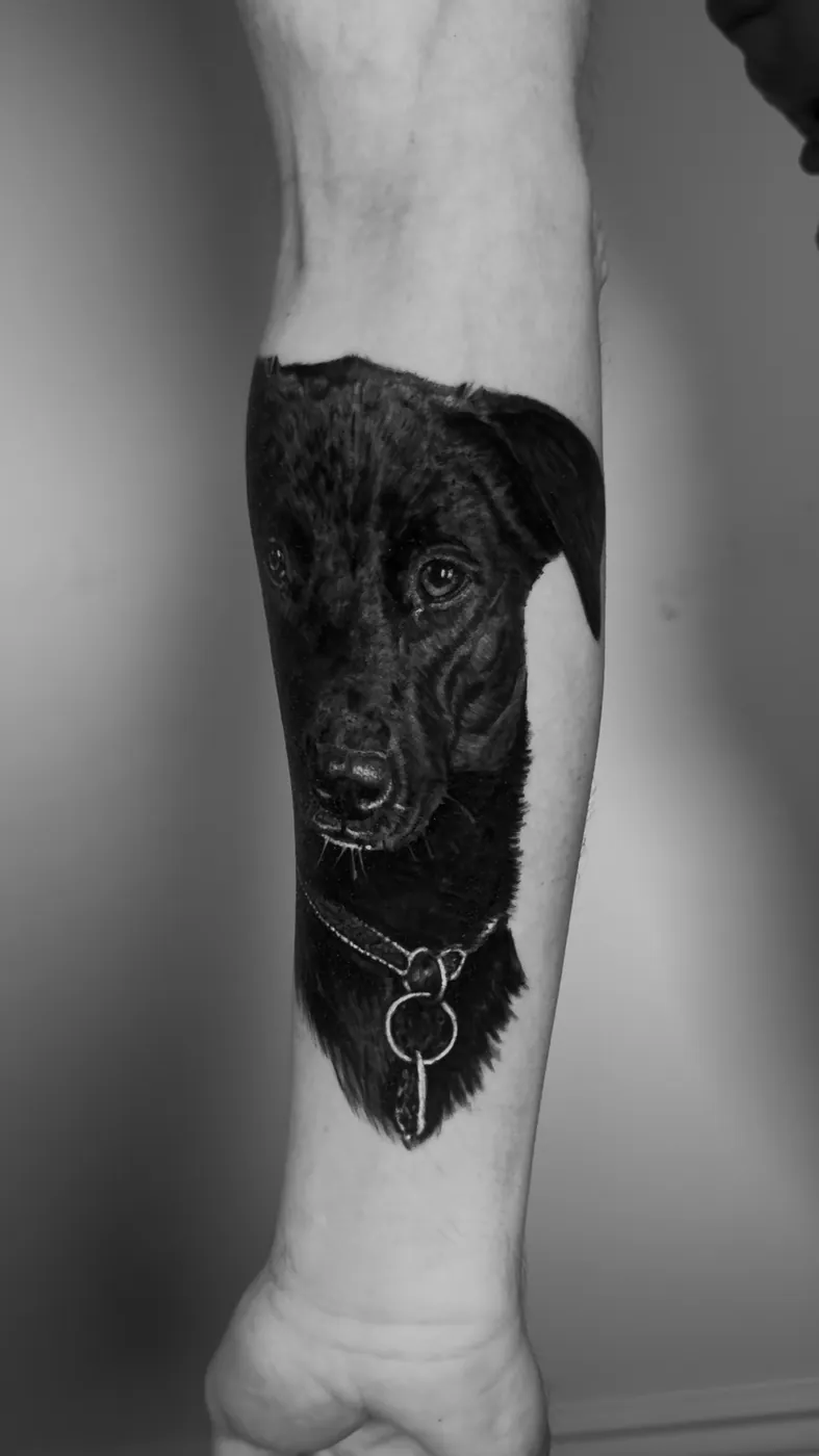 Portrait réaliste d'un chien noir, tatoué sur l'avant-bras, noir et gris.